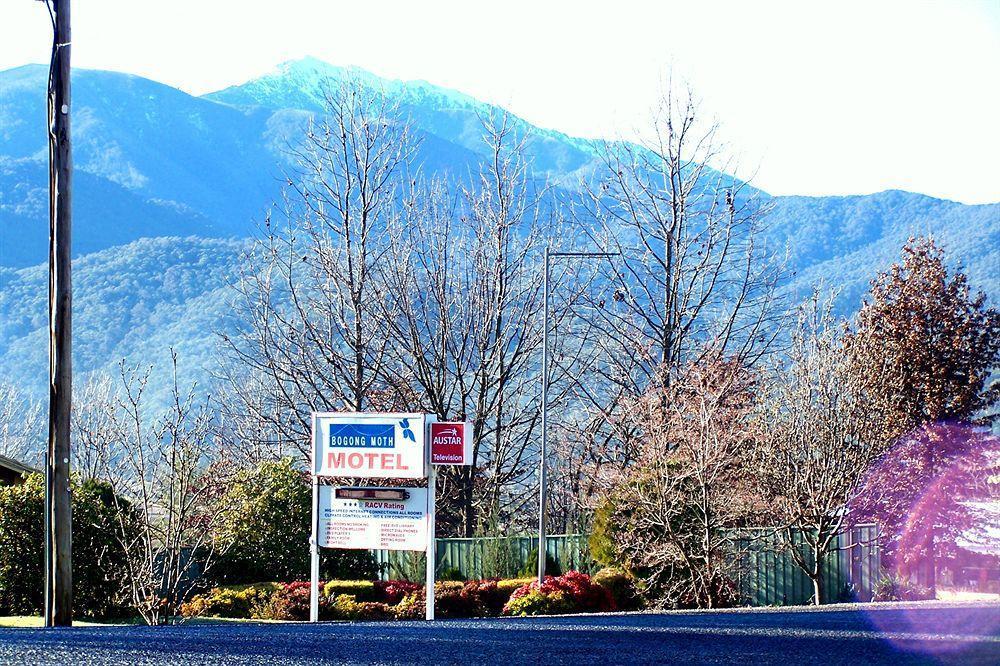 Bogong Moth Motel Mount Beauty Exteriér fotografie